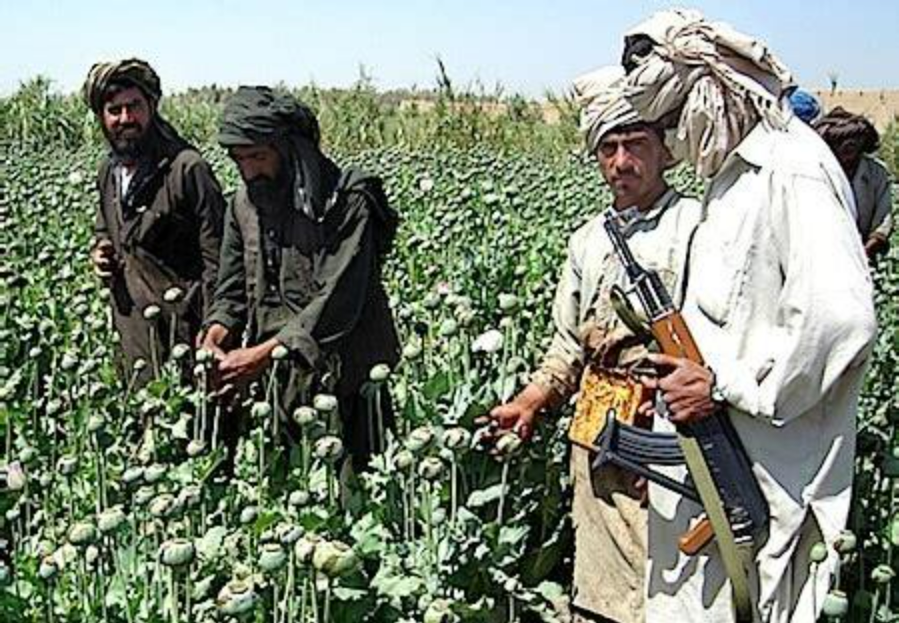 The Taliban in Afghanistan are banning drugs – and that’s a bad thing, seriously!