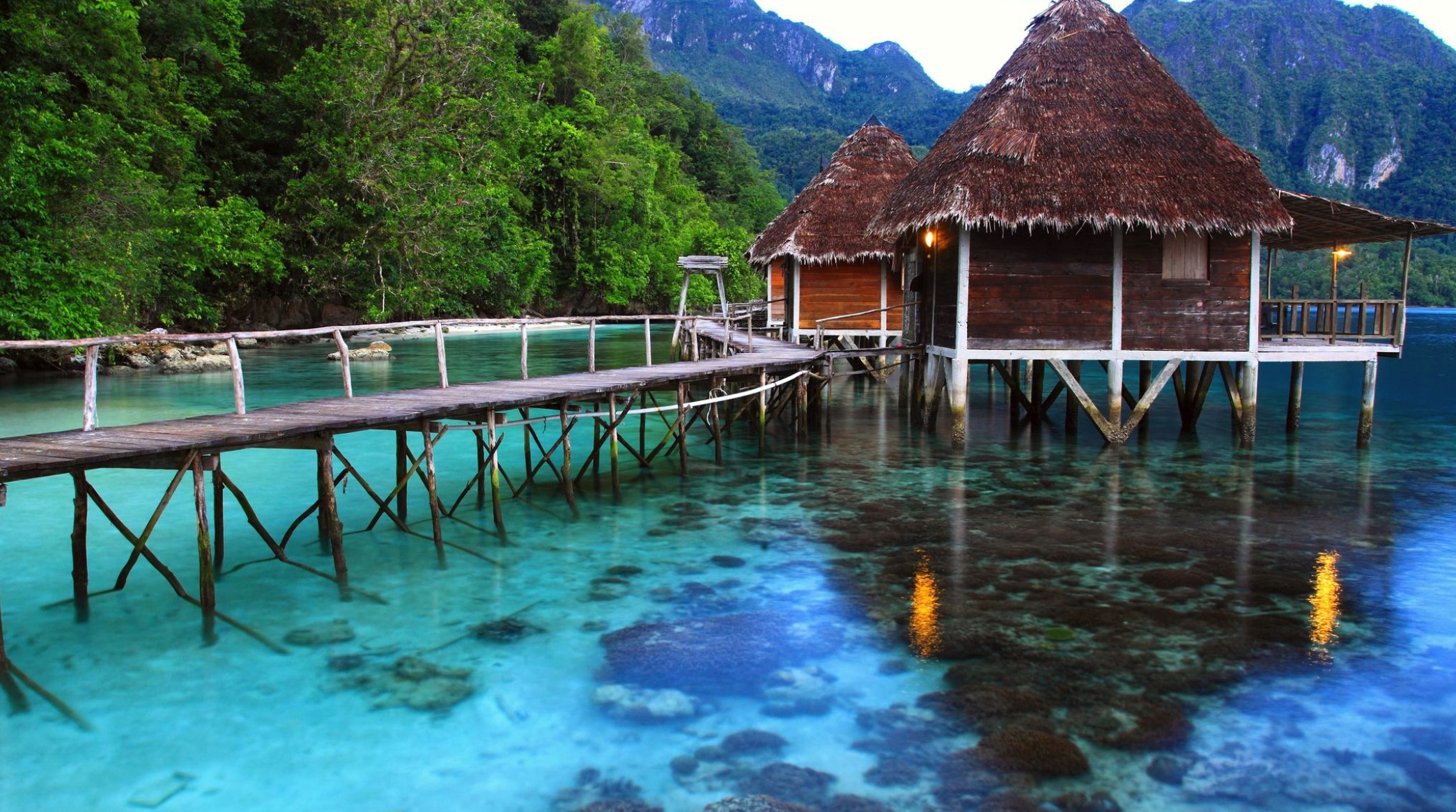 Dark History of The Maluku Islands